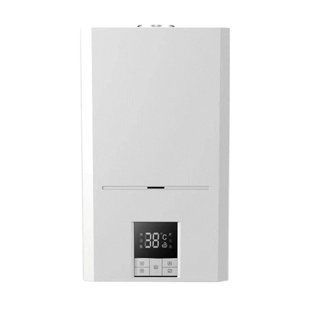 Котел газовий RGB-040 RENS турбований двоконтурний 40кВт з трубою RGB-040 фото
